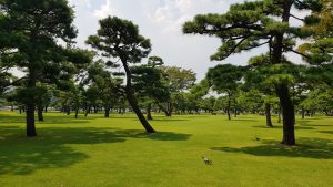 Lire la suite à propos de l’article JOUR 4 – Tokyo – Les parcs et Ikebukuro