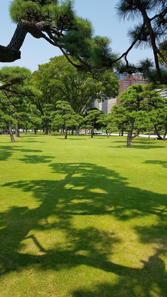 Tokyo les parcs