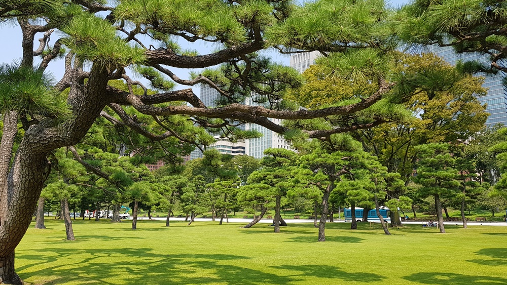 Tokyo les parcs