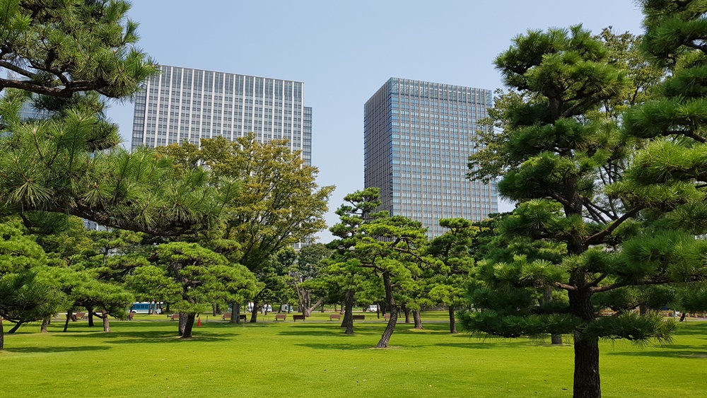 Tokyo buildings et parcs