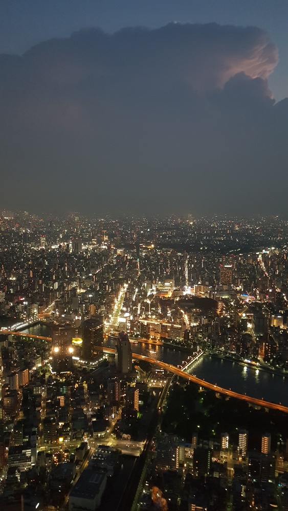 Vue de Tokyo depuis la tour Skytree
