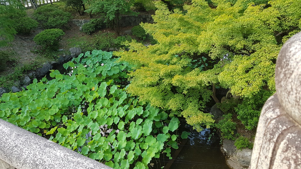Jardin du temple Otani Hombyo
