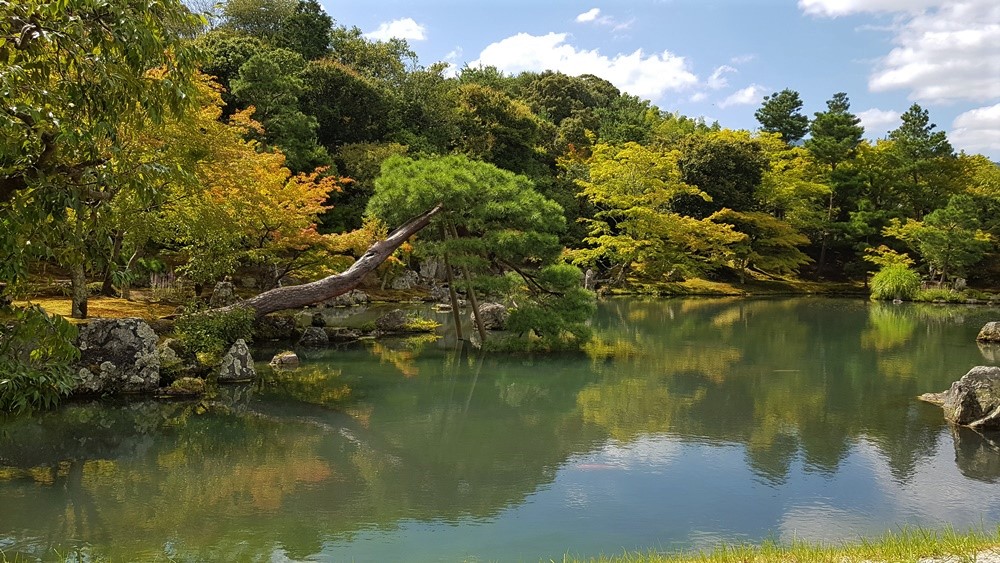 Jardins du temple Tenryu-ji