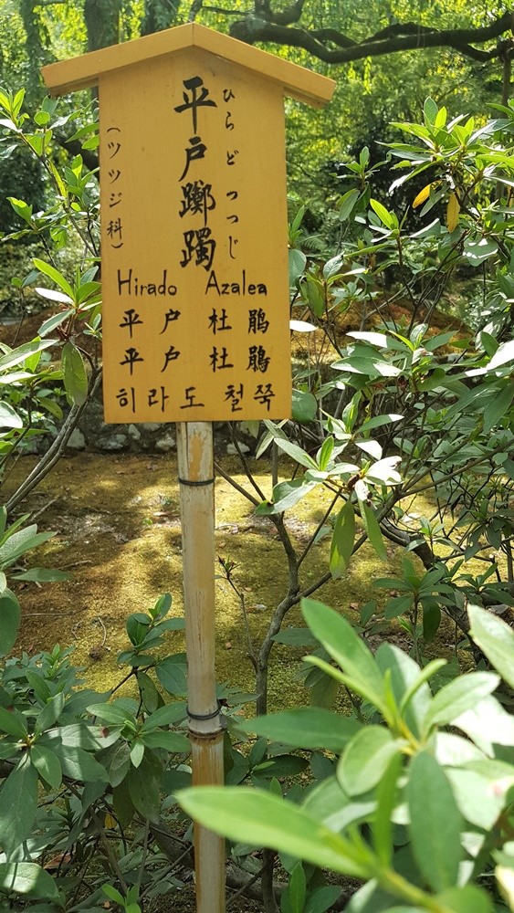 Jardins du temple Tenryu-ji