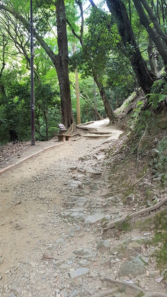 Sentier menant au mont Iwata
