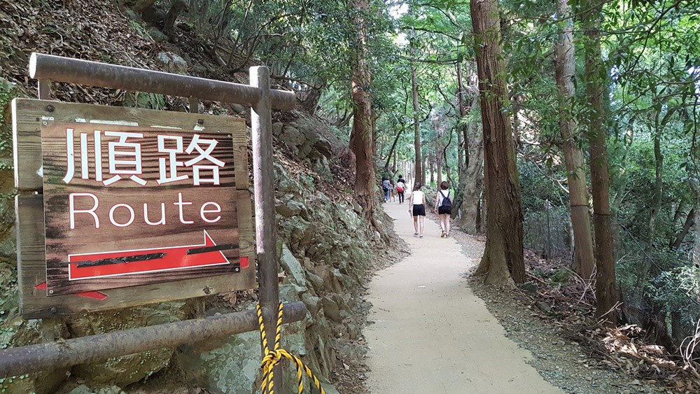 Sentier menant au mont Iwata