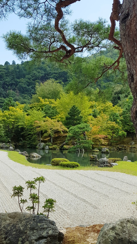 Jardins du temple Tenryu-ji