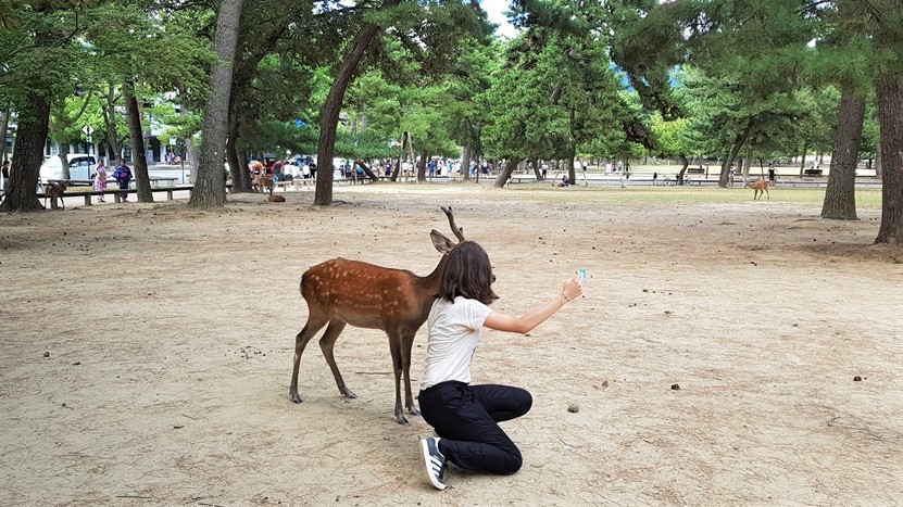 Un cerf pose pour un selfie