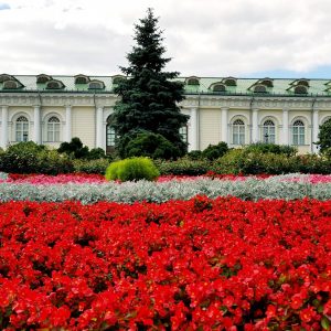 Jardins fleuris devant Fun Palace
